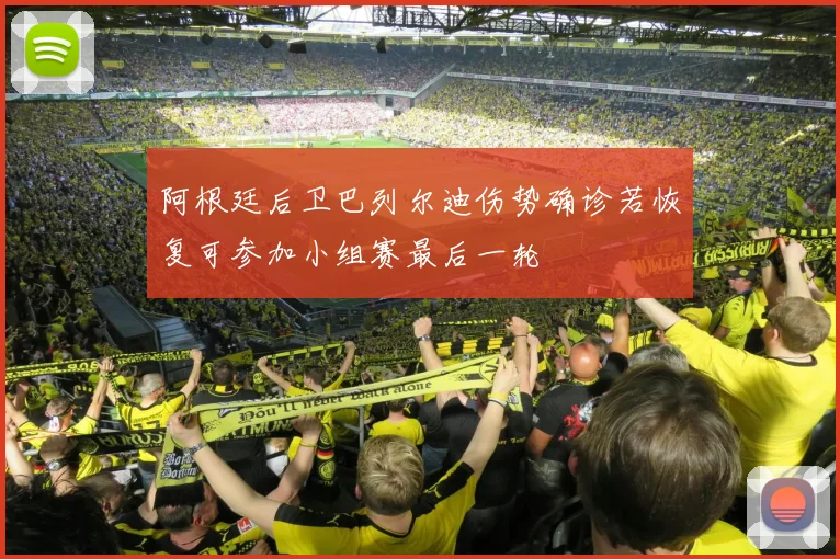 阿根廷后卫巴列尔迪伤势确诊若恢复可参加小组赛最后一轮