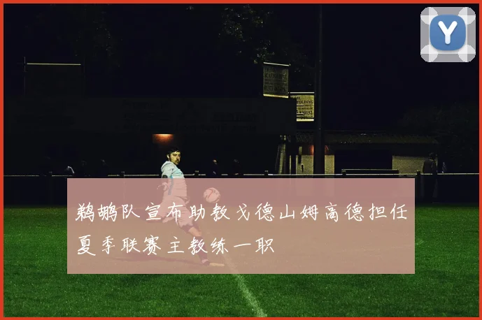 鹈鹕队宣布助教戈德山姆高德担任夏季联赛主教练一职