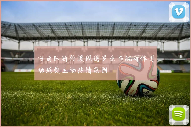河南队新外援佩德罗亲临航海体育场感受主场热情氛围
